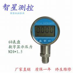 “紹興燃氣專用壓力表數(shù)顯“/